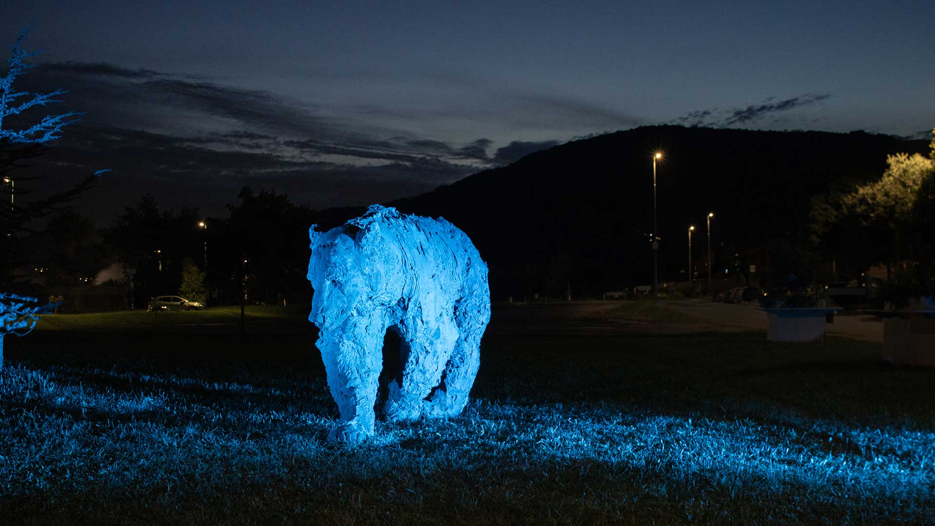 Orso by Davide Rivalta