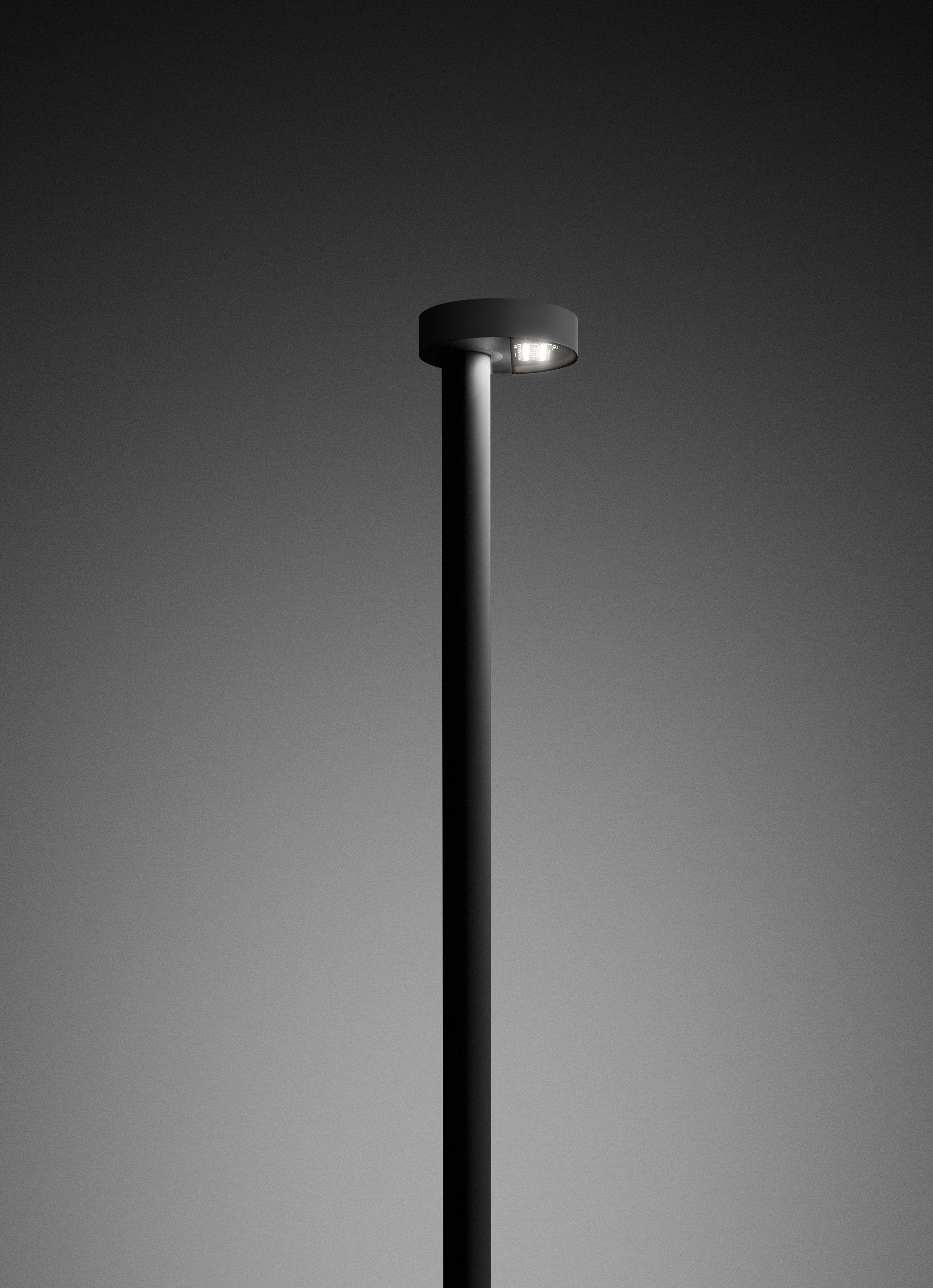 ANYWAY_PALO_opening_vert 2 si